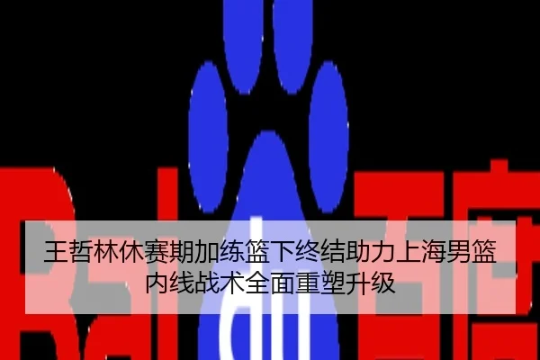 王哲林休赛期加练篮下终结助力上海男篮内线战术全面重塑升级